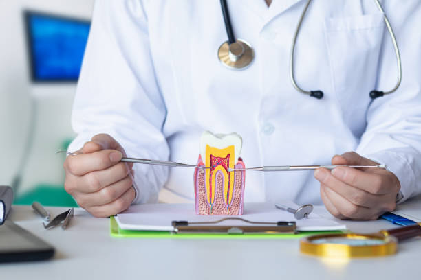 Best Emergency Root Canal Treatment in Brandermill, VA